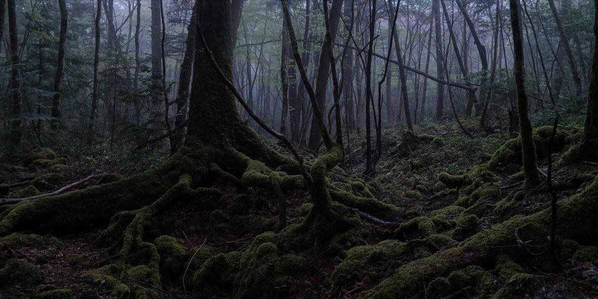 Les samovrahov: Perfektné miesto pre smrť, kam vyrážajú aj turisti