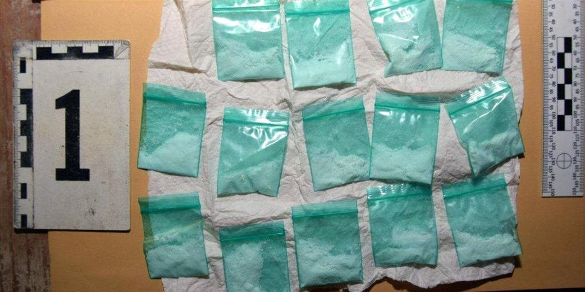 Polícia našla 500 kilogramov kokaínu a obvinila piatich Európanov