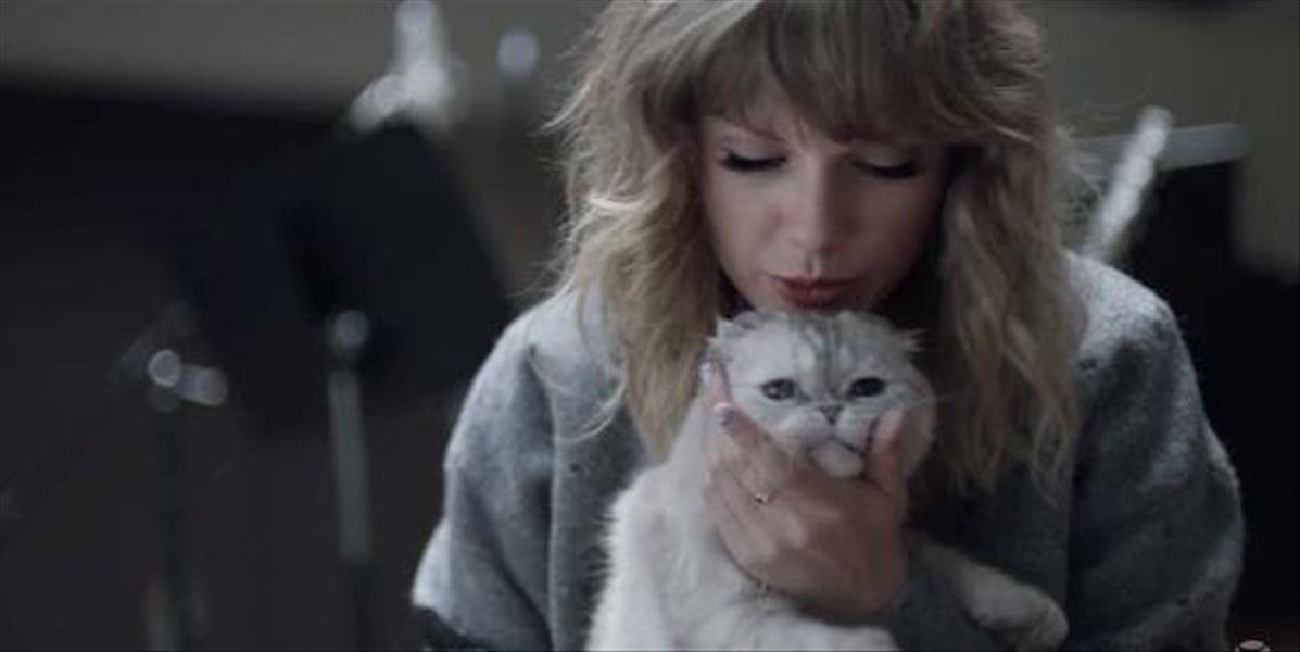 Mačka Taylor Swift sa zapojila do verejného diania, týmto výkonom ohúrila internetový svet