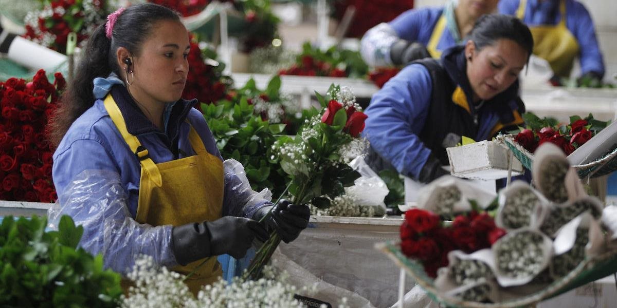 Valentín prinesie aspoň dočasnú prácu Kolumbijčanom z chudobných regiónov