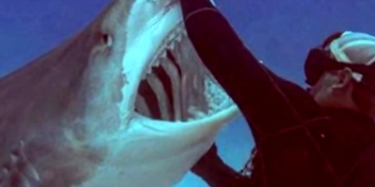 VIDEO Potápač hľadel žralokovi priamo do papule, mohol mu spočítať rezáky!