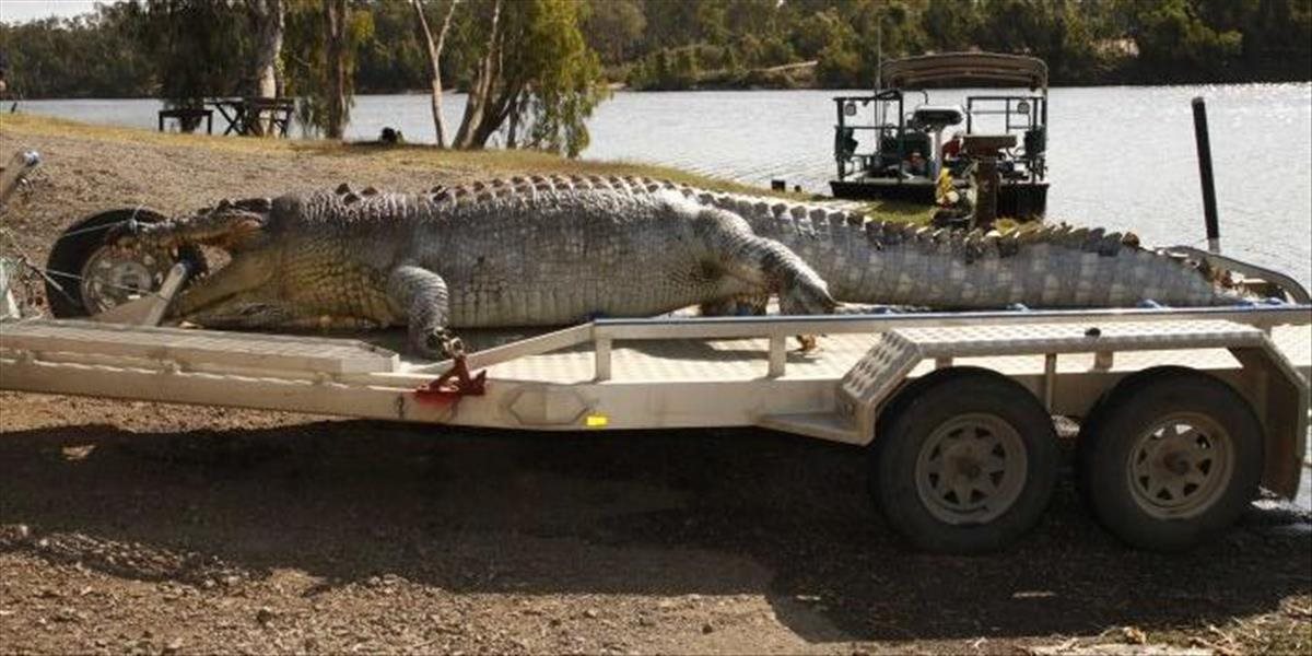 Austrálsky farmár zabil 100-ročného krokodíla, poriadne za to zaplatí