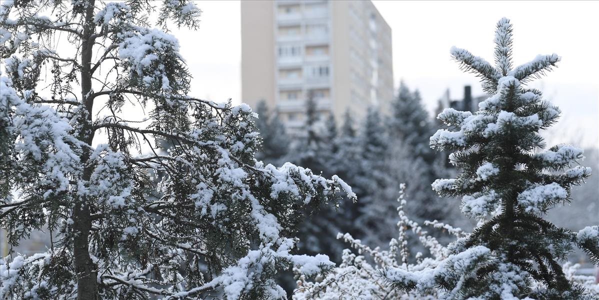 V Bratislave môže cez víkend napadnúť päť až desať centimetrov snehu