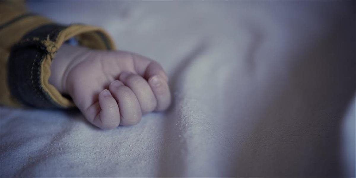 Polícia obvinila rodičov z Michaloviec z usmrtenia polročného dieťaťa