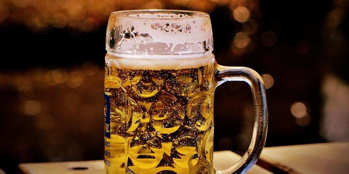Pivovar Šariš začne vychovávať vlastných pivovarníkov duálnym systémom