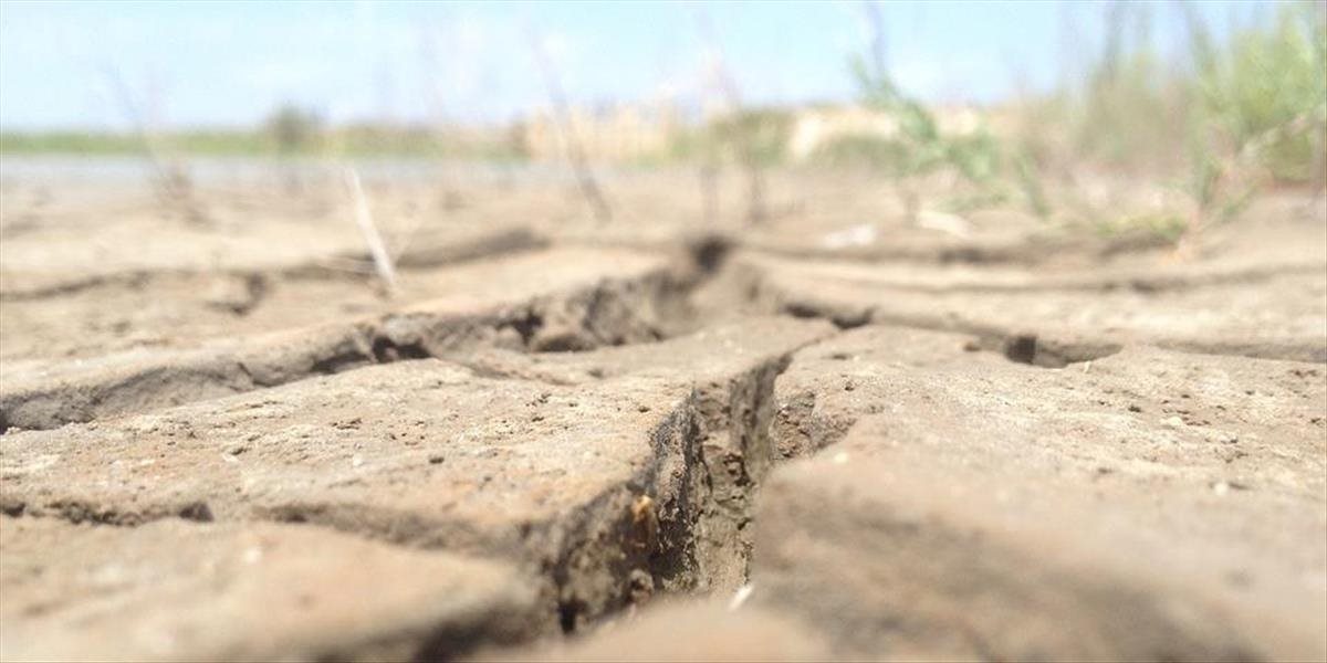 Sýrska univerzita chce spolupracovať s nitrianskou SPU pri výskume suchých pôd