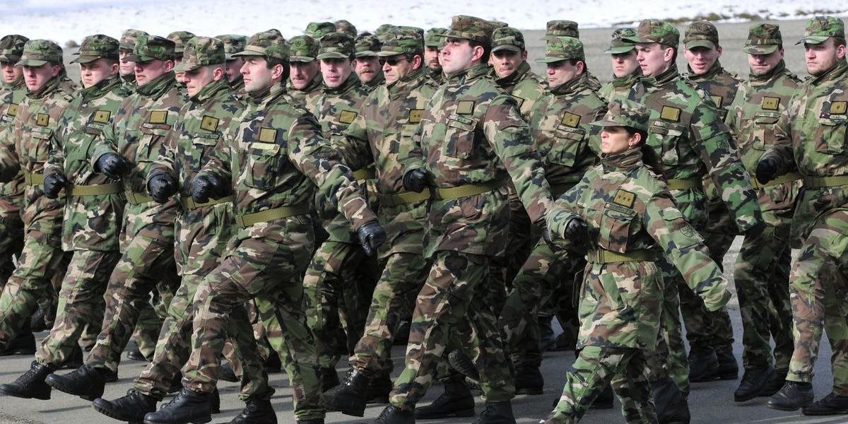 Vláda odobrila materiál ministerstva obrany o pobyte zahraničných vojsk na území SR