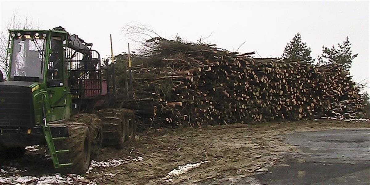 Schválený zákon o dreve má zabrániť vstupu dreva z nezákonnej ťažby na trh EÚ