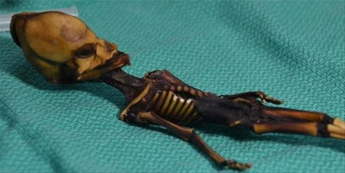 Záhadu maličkej múmie z Atacamy sa podarilo rozlúštiť