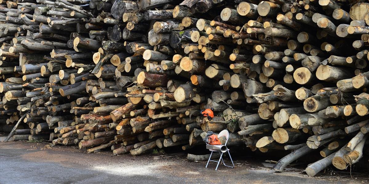 Zákon o dreve má zabrániť vstupu dreva z nezákonnej ťažby na trh EÚ