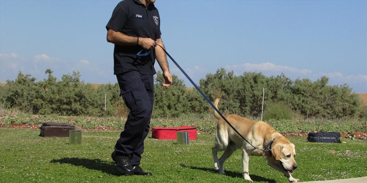 Služobným psom madridskej polície zabezpečia muzikoterapiu