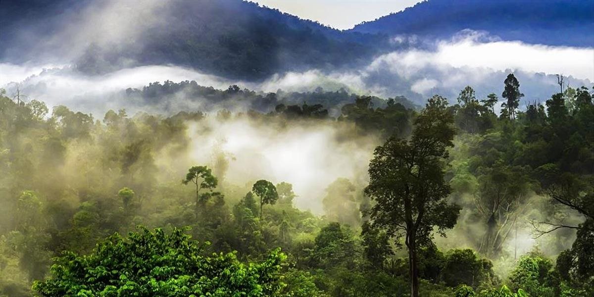 Ďalšie veľké prekvapenie pre vedcov: Zábery odľahlých častí Amazonského pralesa odhalili tajomstvo!