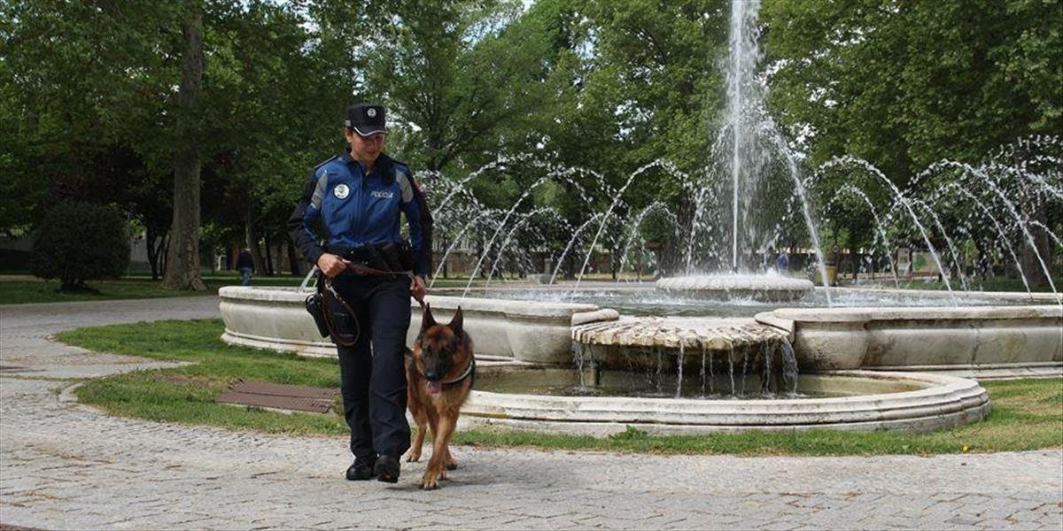 Madridská polícia má pre svojich psích zamestnancov novinku: Týmto im budú znižovať stres!