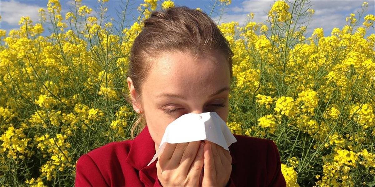 Ľudí alergických na peľ trápia jeho vysoké koncentrácie v ovzduší