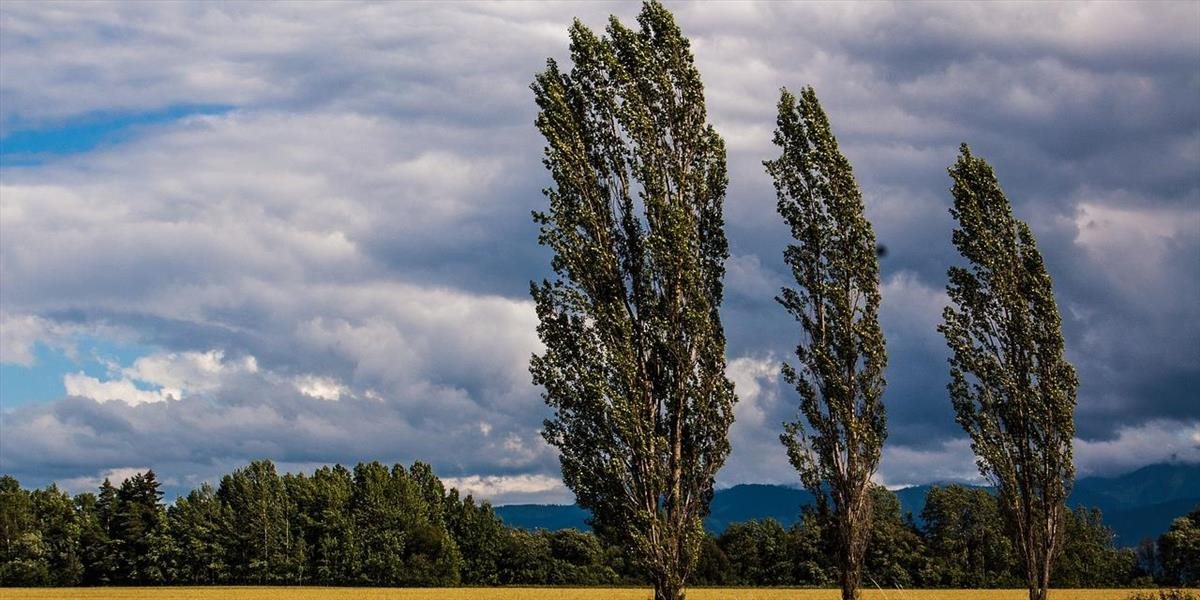 Na západe Slovenska a na horách bude fúkať silný vietor