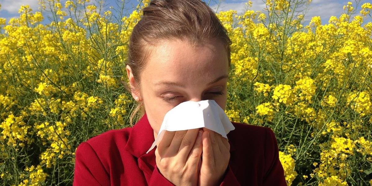 Alergikov nečaká podľa odborníkov v týchto dňoch nič príjemné