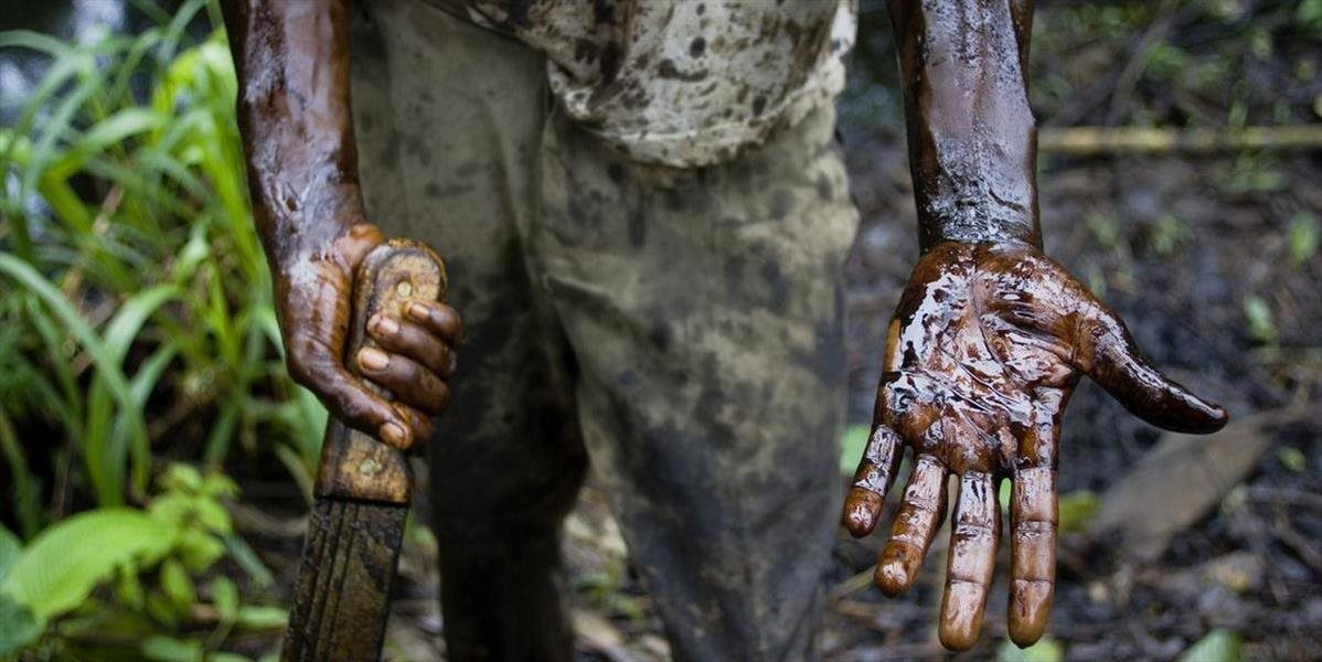 Hrdinovia! Šiesti správcovia parku Virunga zomreli počas toho, ako chránili zvieratá žijúce v ňom