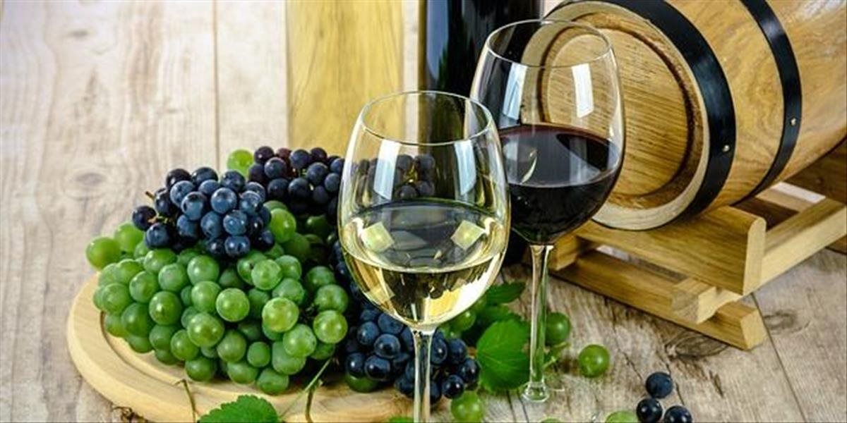 Deň modranských pivníc ponúkne ochutnávky miestnych vín aj gastro špecialít