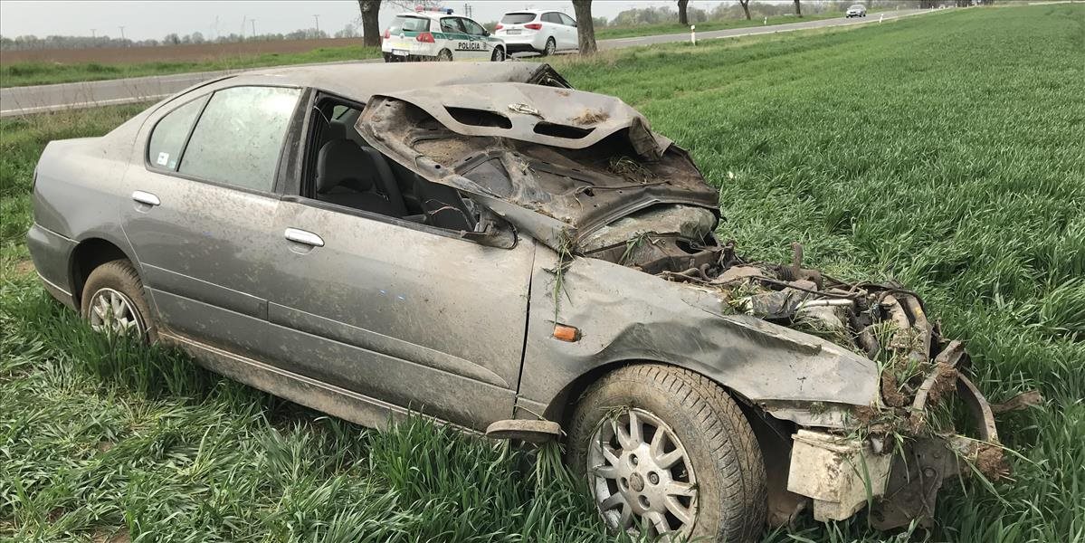 FOTO Vodič zomrel po náraze do stromu, polícia hľadá svedkov nehody