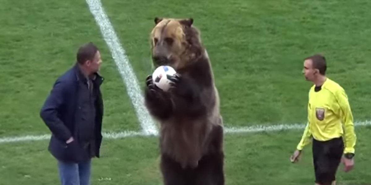 VIDEO Medveď "roztlieskavač" sa stal hitom internetu, vyvolal však aj rozporuplné reakcie