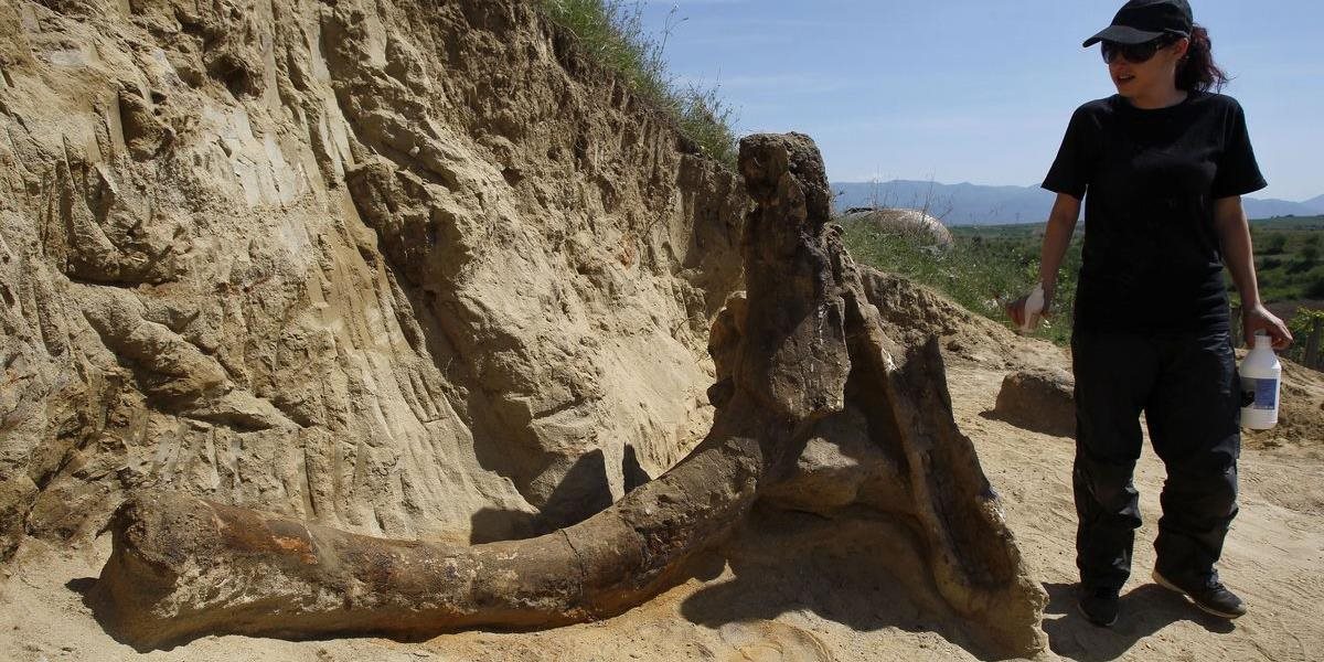FOTO Na juhu Macedónska objavili kostru prehistorického slona