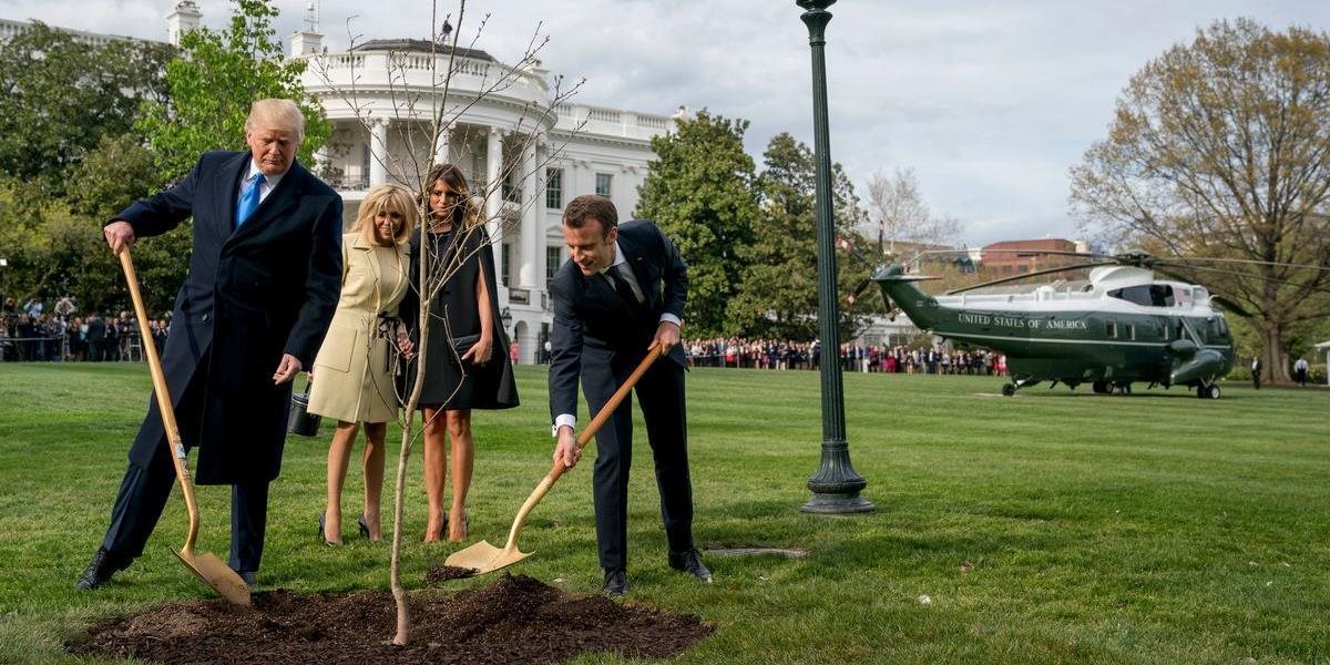 Strom, ktorý Macron s Trumpom zasadili v záhrade Bieleho domu, niekam zmizol