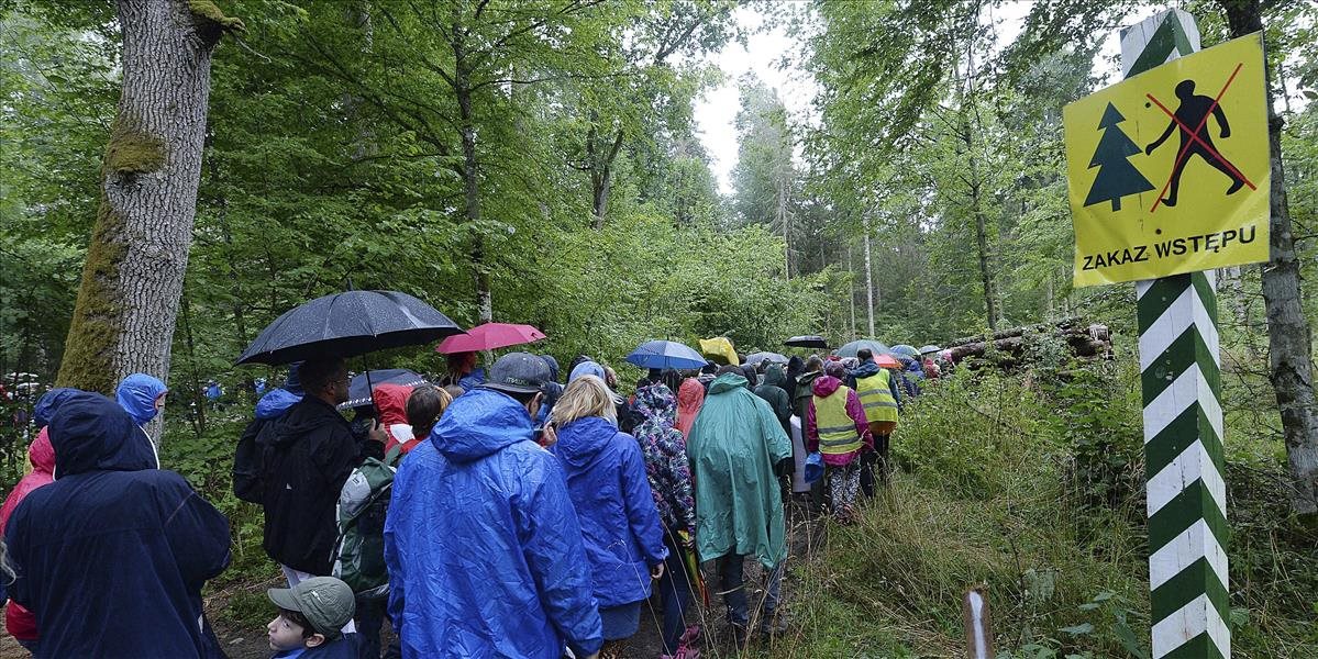 Súd v Poľsku oslobodil aktivistov, ktorí bránili výrubu v Bielovežskom pralese