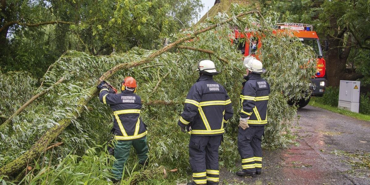 Konáre padajúceho stromu v Snine zasiahli 15-ročného chlapca