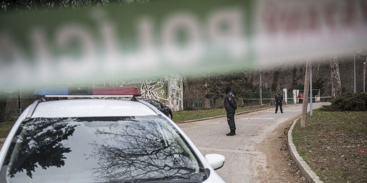 Polícia vyšetruje medializovaný prípad streľby na deti v popradskej časti Matejovce