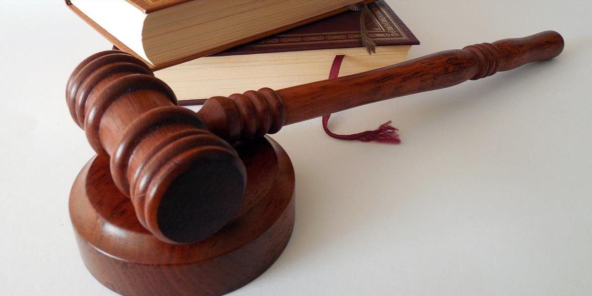 Najvyšší súd potvrdil správnosť konania krajského súdu v kauze vývozu vzácnej busty
