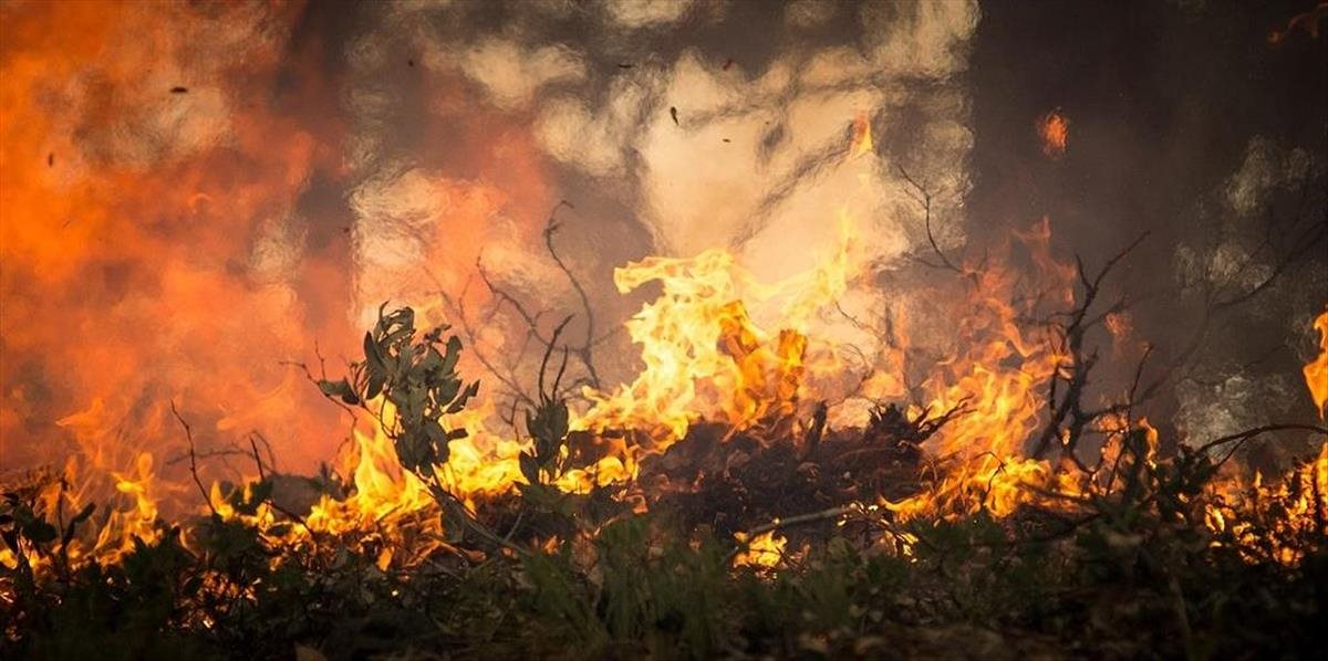Mladík má zaplatiť takmer 37 miliónov dolárov za vyvolanie lesného požiaru