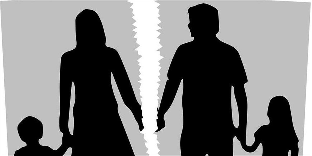 Väčšina podaní súvisí s traumou detí z rozpadu manželstva, tvrdí Tomanová