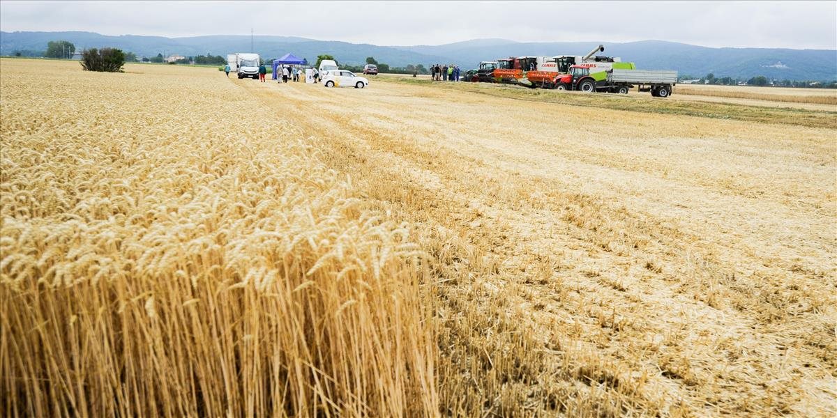Slovenskí farmári v EP svedčili o zneužívaní agrodotácií a bojoch s úradmi