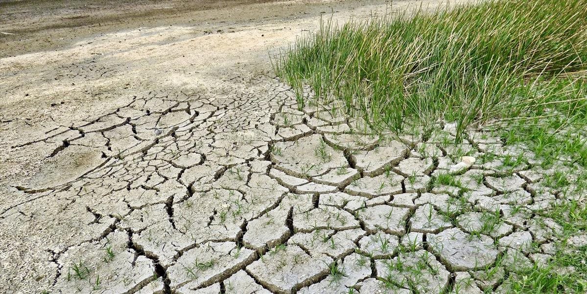Poľnohospodárom pre extrémne sucho vznikla strata 28 200 000 €, žiadajú o pomoc ministerstvo
