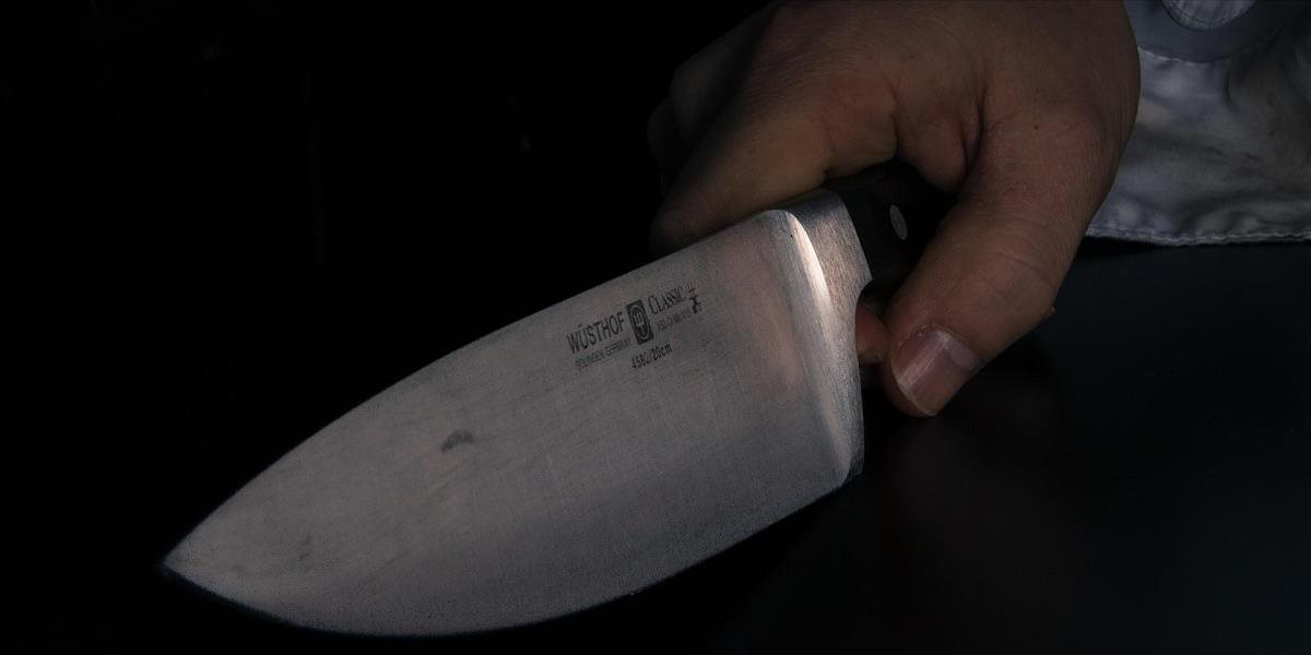 Britský sudca vyzval úrady k zákazu predaja dlhých ostrých nožov