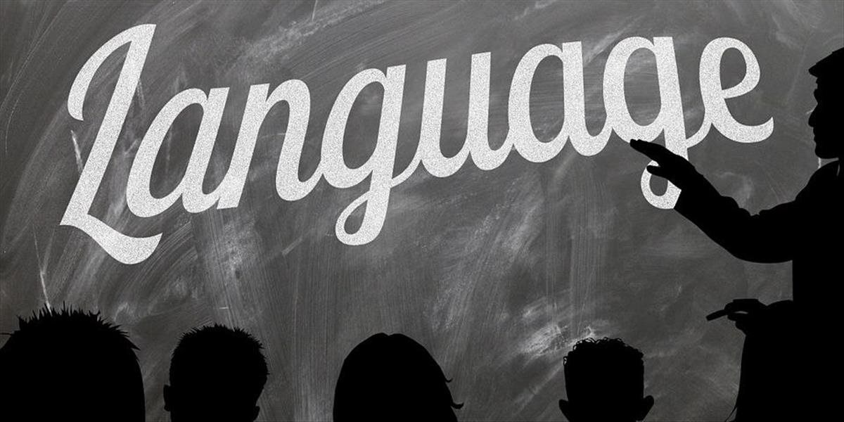 Holanďanov trápi vyučovanie v cudzom jazyku, znevýhodňuje domácich študentov