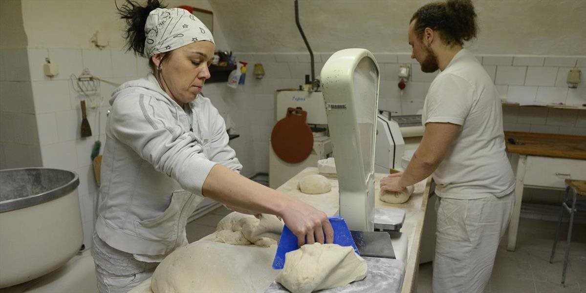 Slovenskí pekári budú monitorovať obsah akrylamidu vo výrobkoch, nariadenie EÚ vítajú