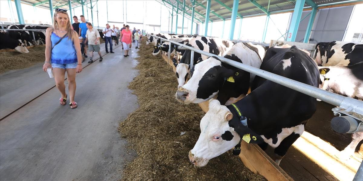 Na Slovensku vyrástla jedna z najväčších mliečnych fariem v strednej Európe