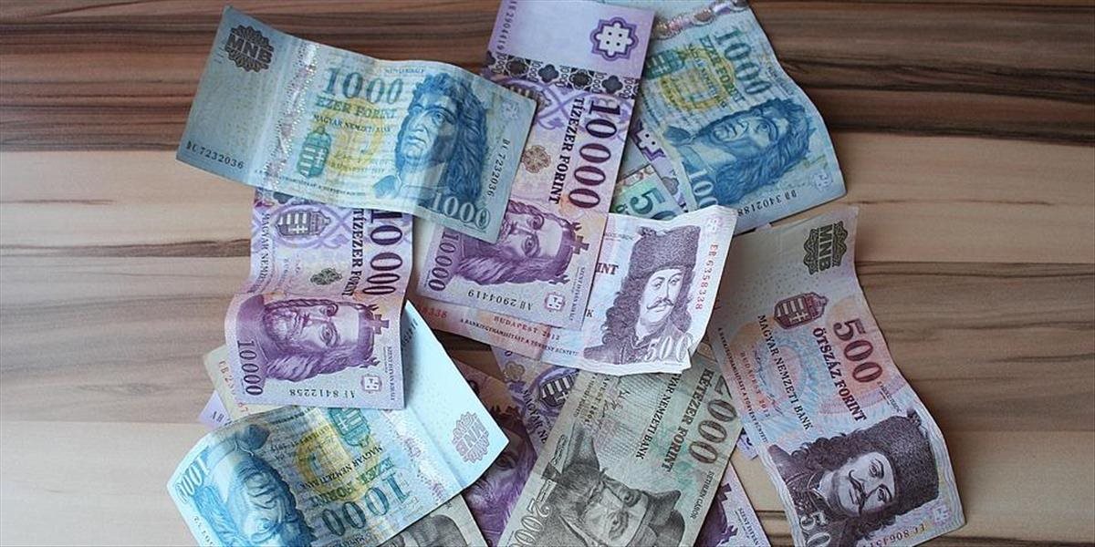 Kurz maďarského forintu klesol na historické minimum