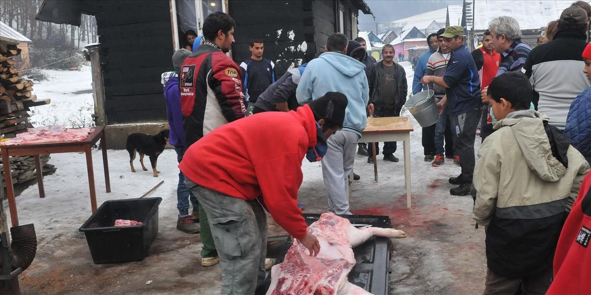 Petícia vyzýva agrorezort, aby riešil týranie zvierat v rómskych osadách