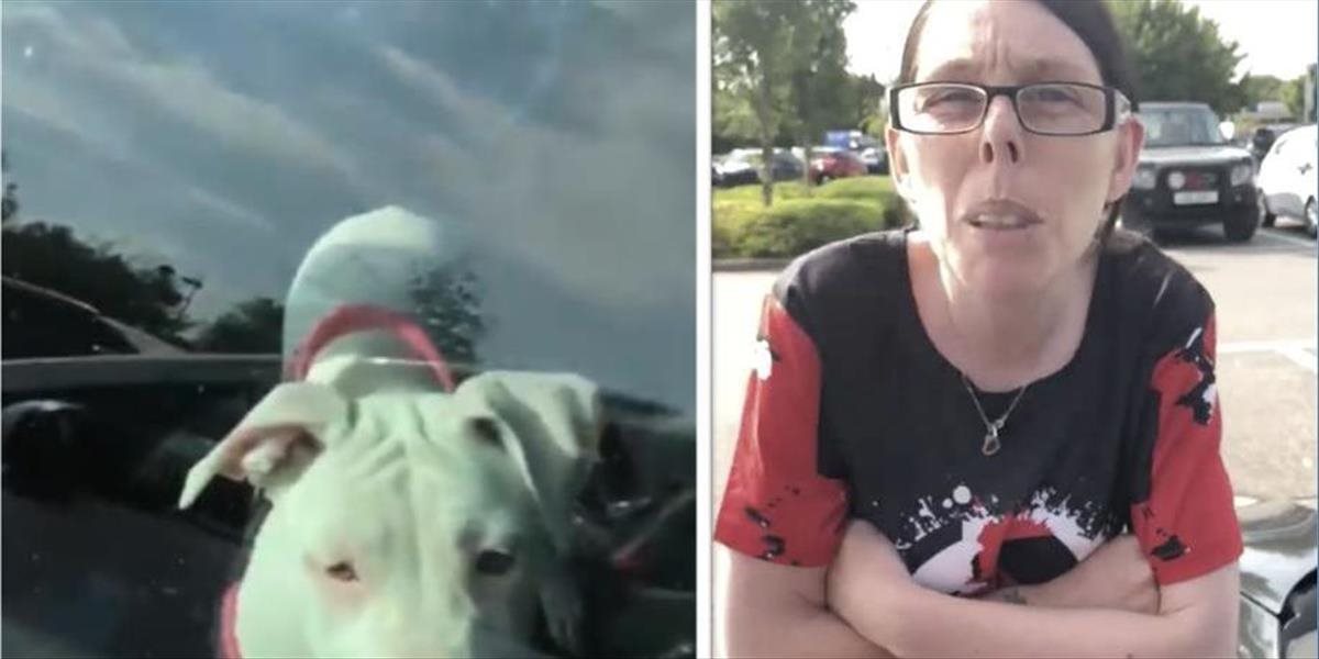 VIDEO Muž zachránil z rozpáleného auta dva psy, majiteľka mu arogantne vynadala!