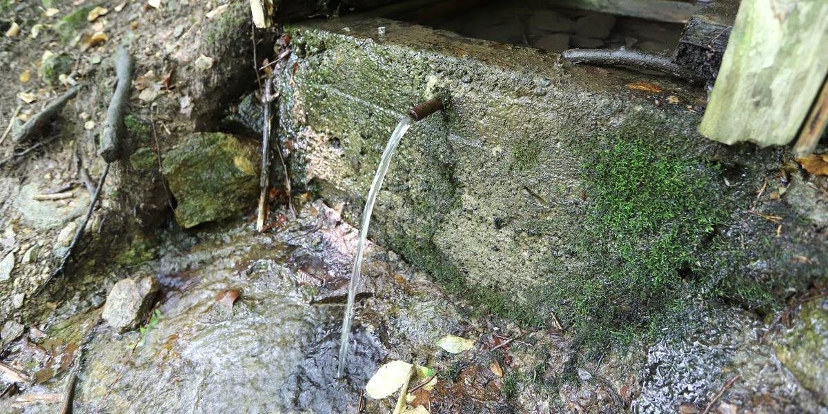 Piť vodu z lesných studničiek hygienici neodporúčajú