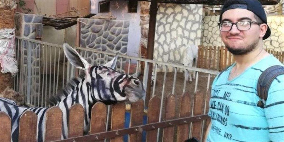 FOTO Zebra alebo premaľovaný osol? Zoo v Káhire si vyrobila poriadnu hanbu