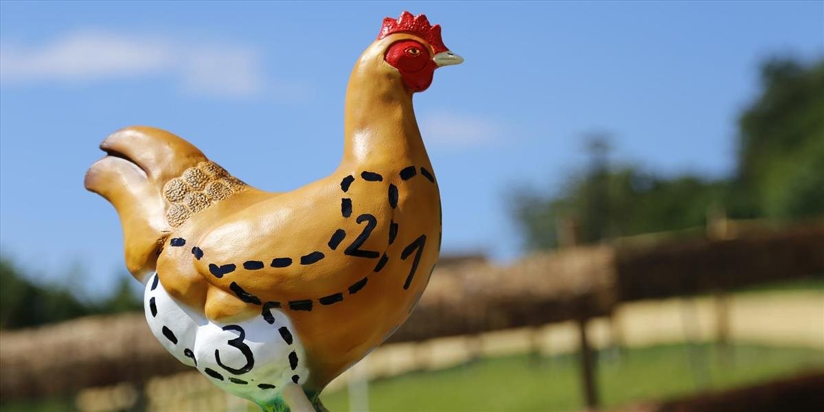 Vysoké teploty na Slovensku dávajú zabrať aj kurčatám vo veľkochovoch