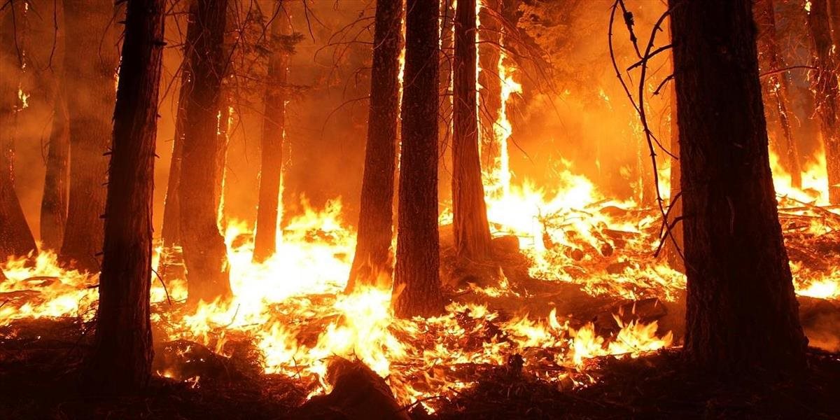 Hasiči zápasia s požiarom v chránenej oblasti v Andalúzii