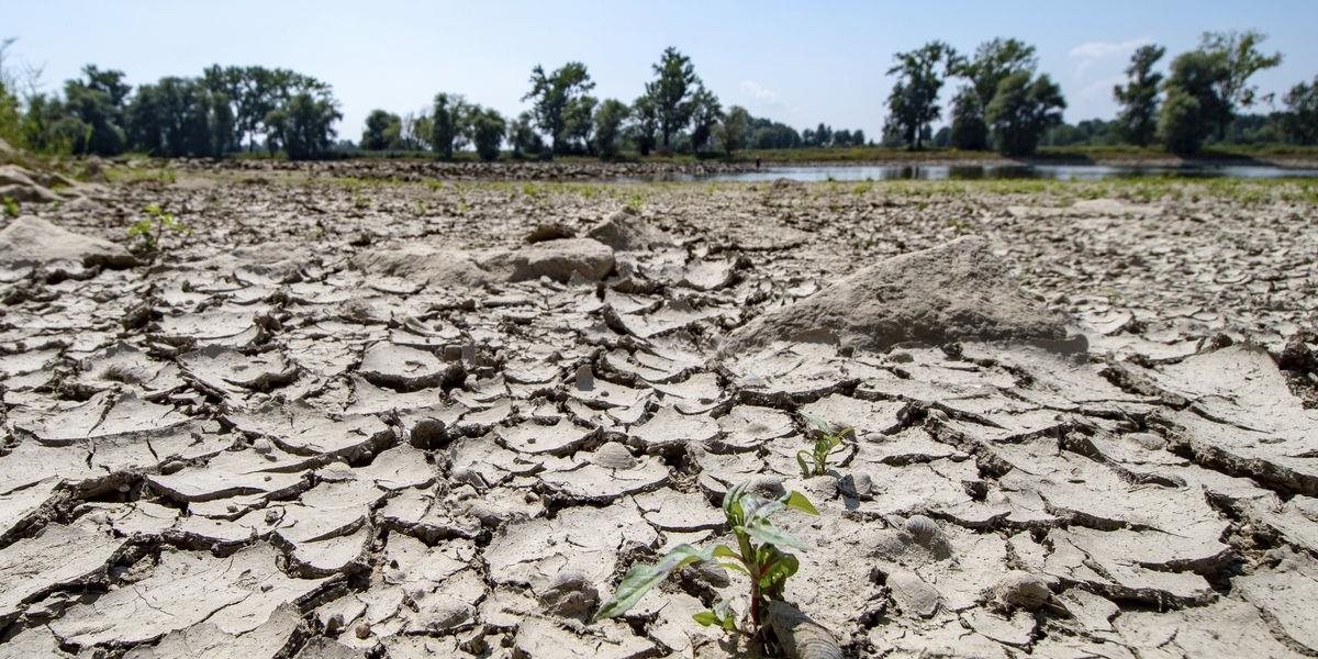 Pripravovaný vodný zákon českej vlády má umožniť zasiahnuť pri suchu