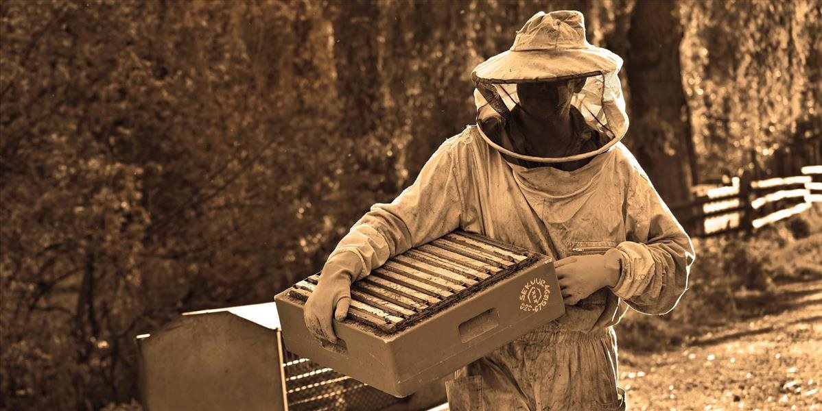 Poľskí aktivisti a včelári protestujú proti ohrozeniu včelstiev neonikotinoidmi