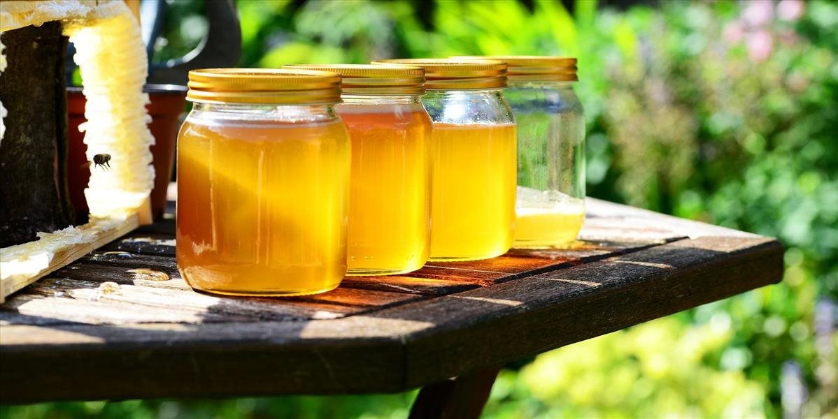 Mestské lesy sa venujú včelárstvu, med ponúkajú aj obyvateľom