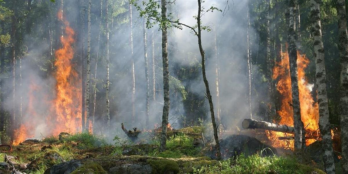 Vo Veľkých Levároch horel les, zranený nebol nikto
