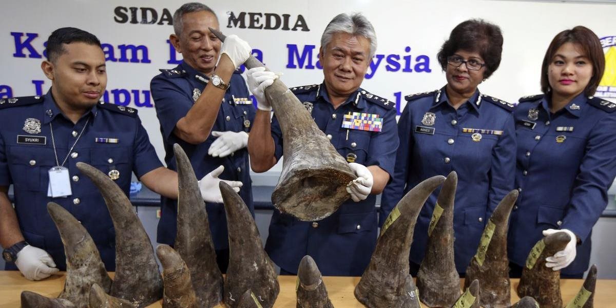 Úrady v Malajzii zhabali nosorožie rohy v hodnote 12 miliónov dolárov